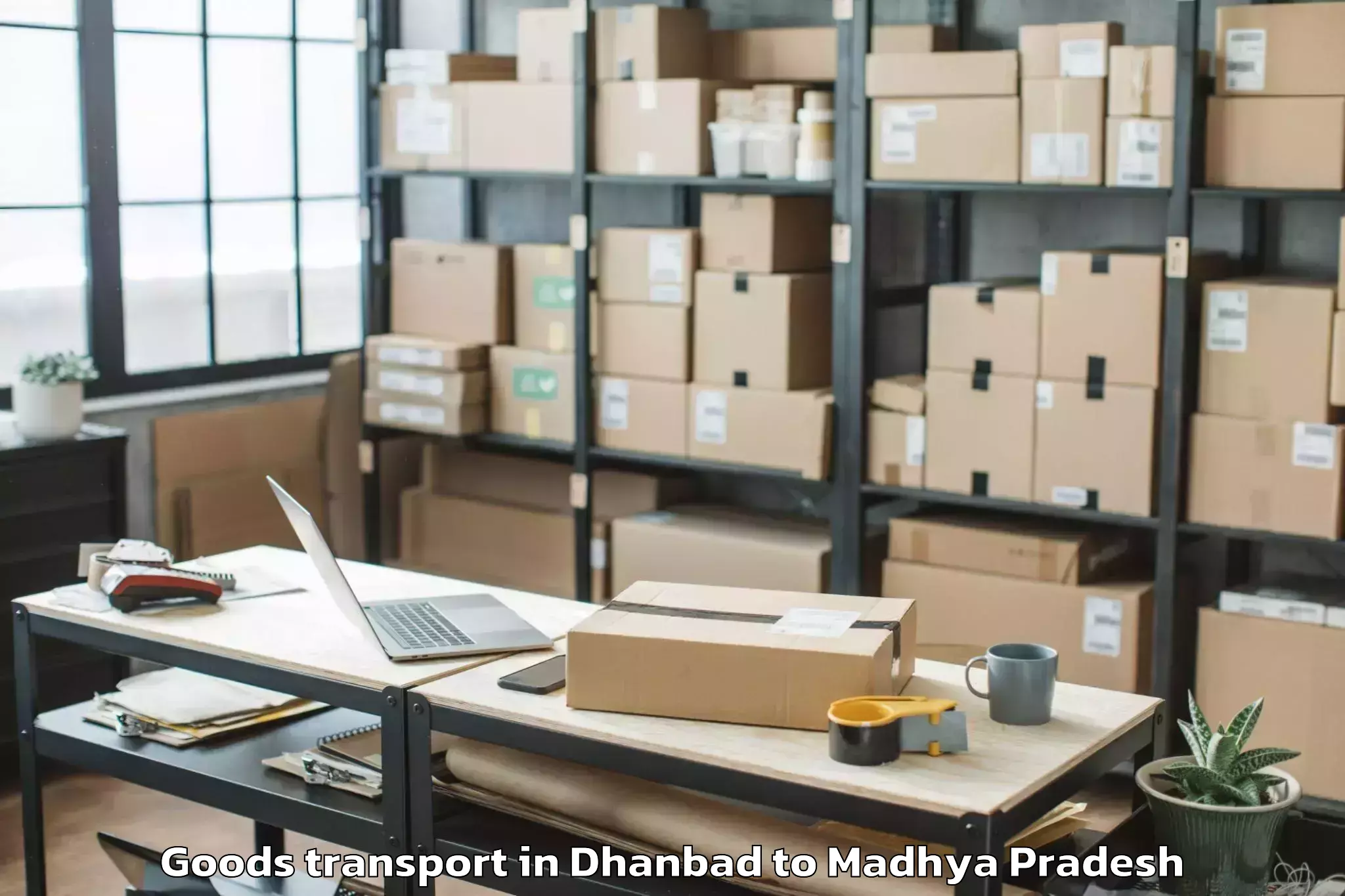 Easy Dhanbad to Vijayraghavgarh Goods Transport Booking